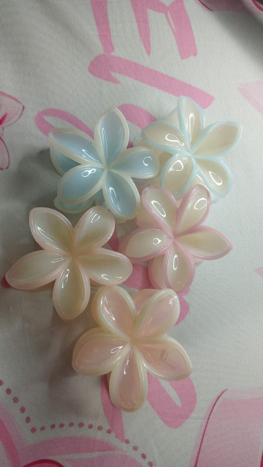 Opal collection